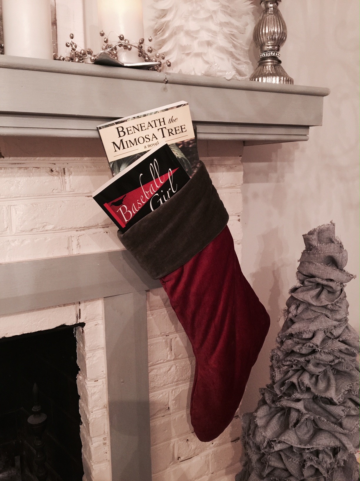 Stuff Those Stockings with Books