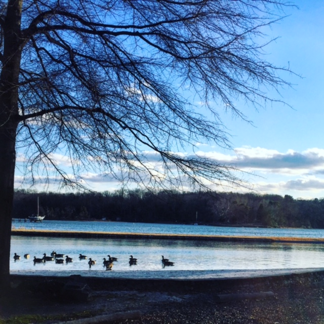 Playing with Photography and Memories