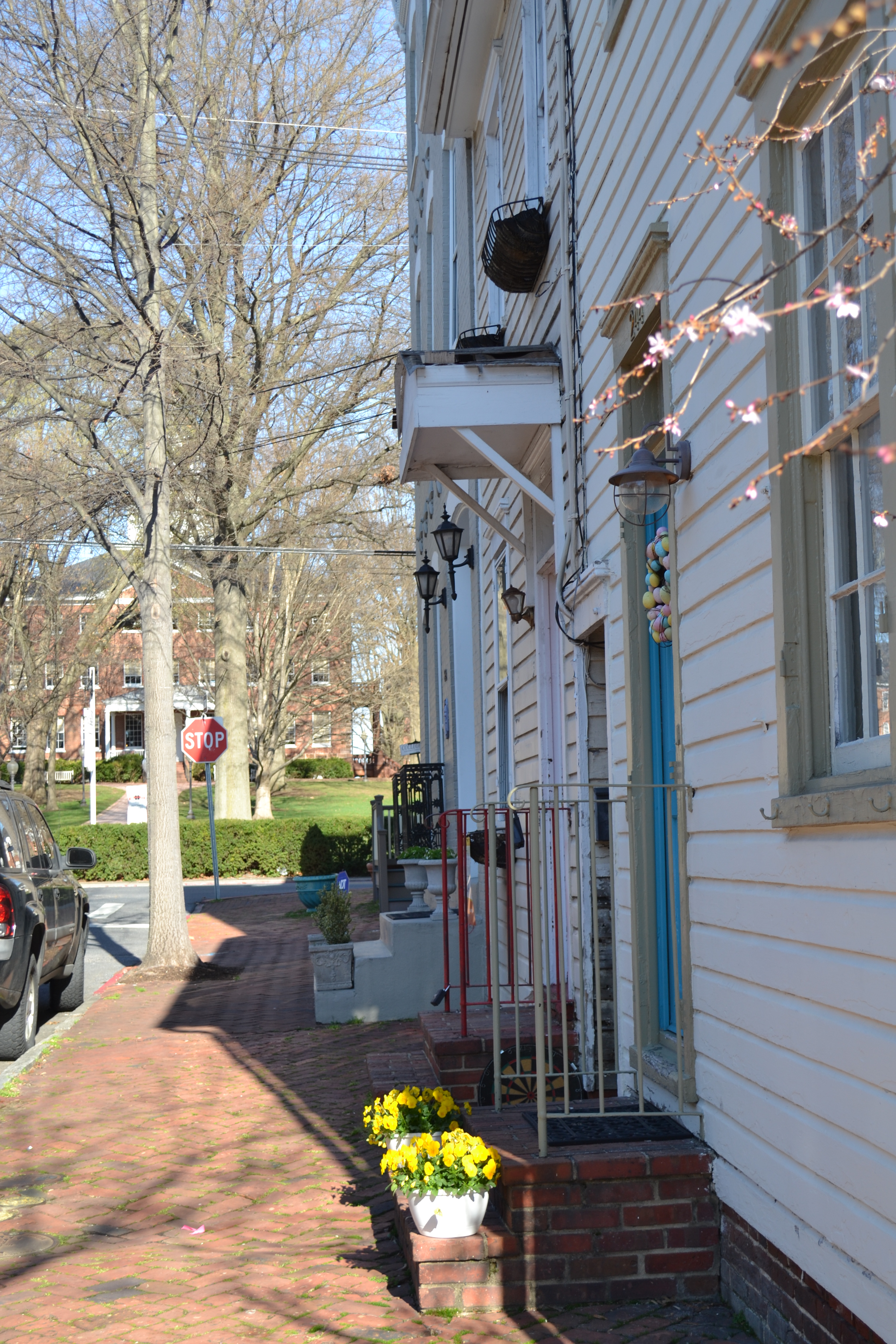 Springtime in Annapolis