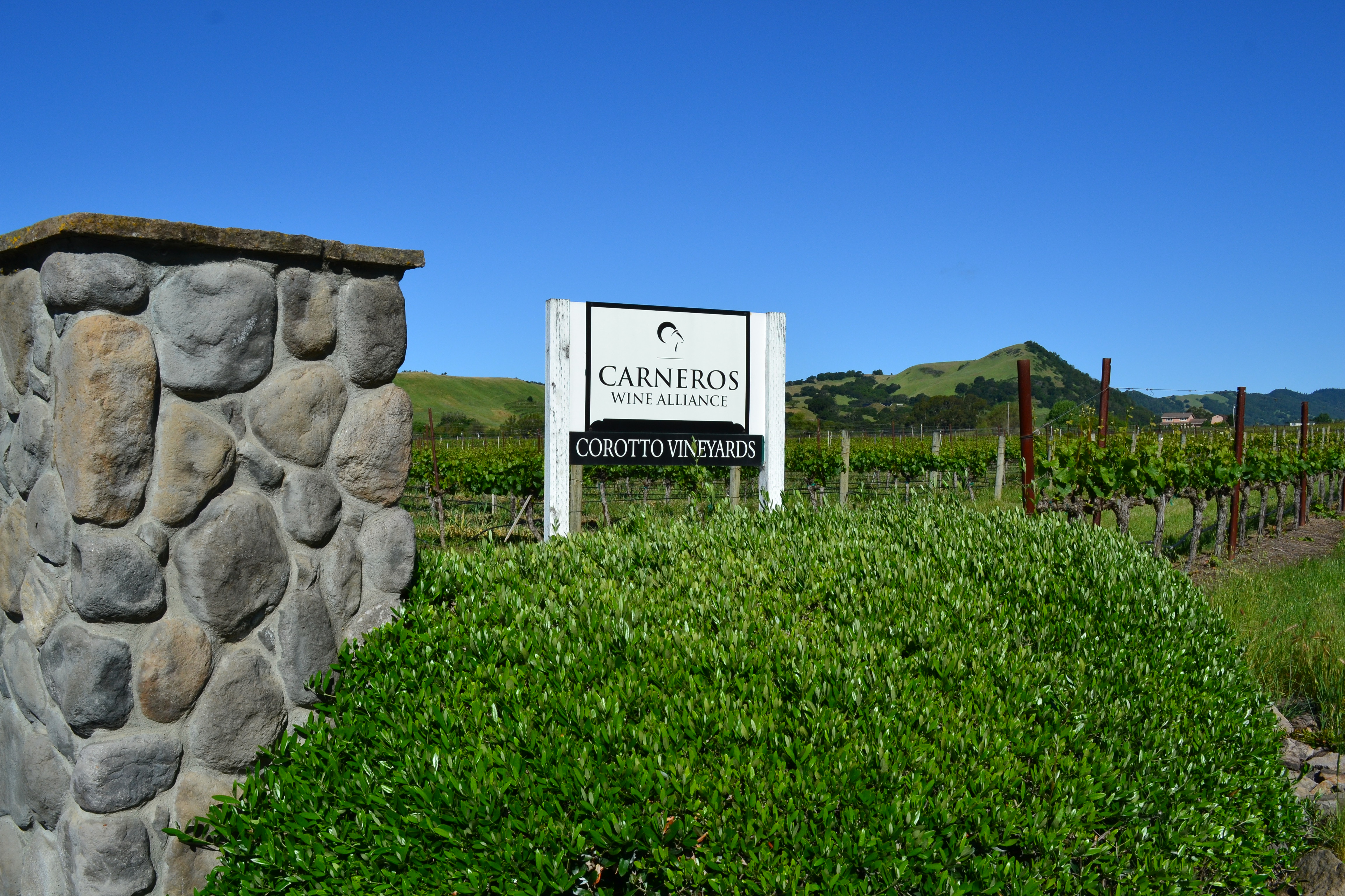 Meeting People Makes Travel Magical