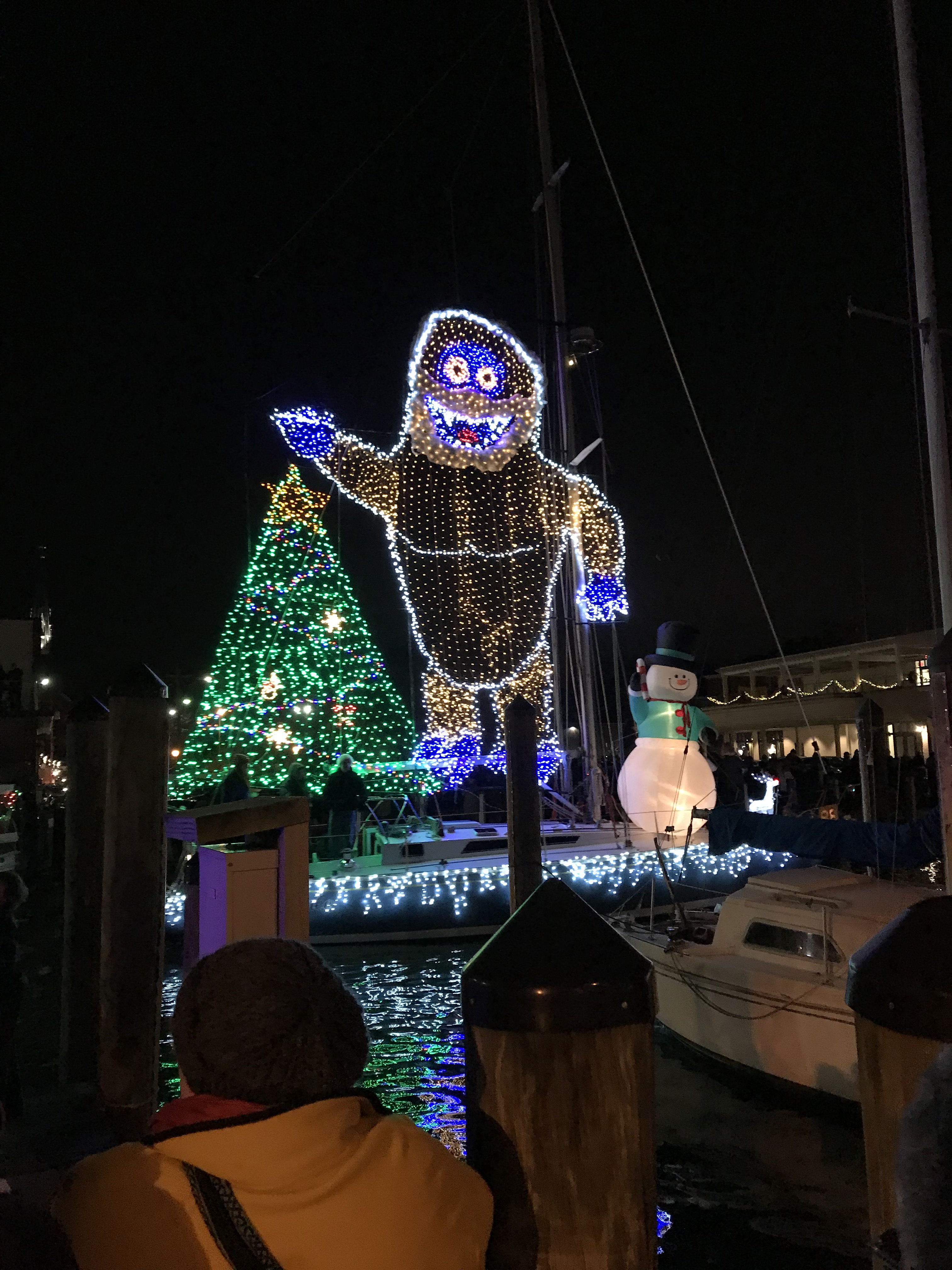 Deciding to Be A Hallmark Movie in Annapolis, Not Just Watch One